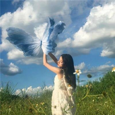 败犬求婚日